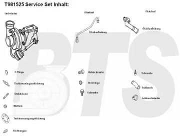 Компрессор, наддув BTS Turbo T981525